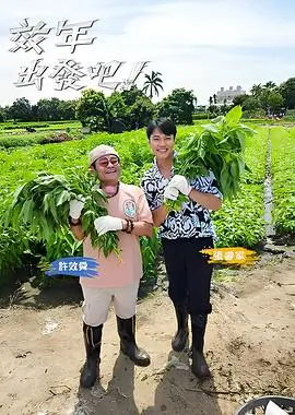 城市漫游记 综艺全集手机在线观看